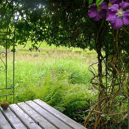 The Cottage Blackwood  المظهر الخارجي الصورة