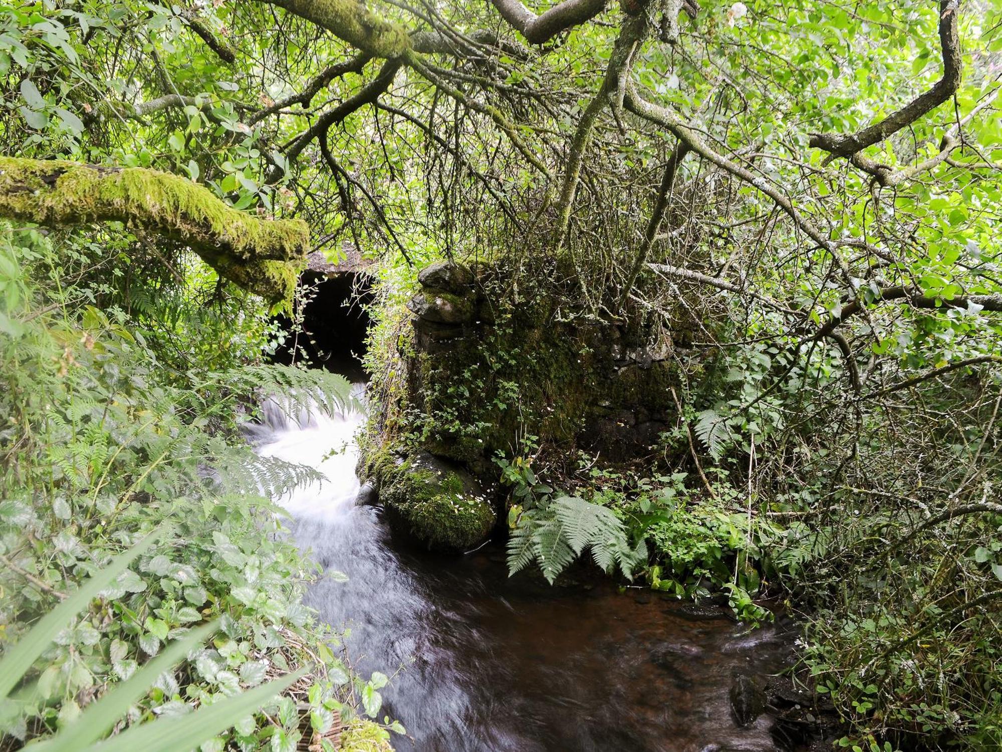 The Cottage Blackwood  المظهر الخارجي الصورة
