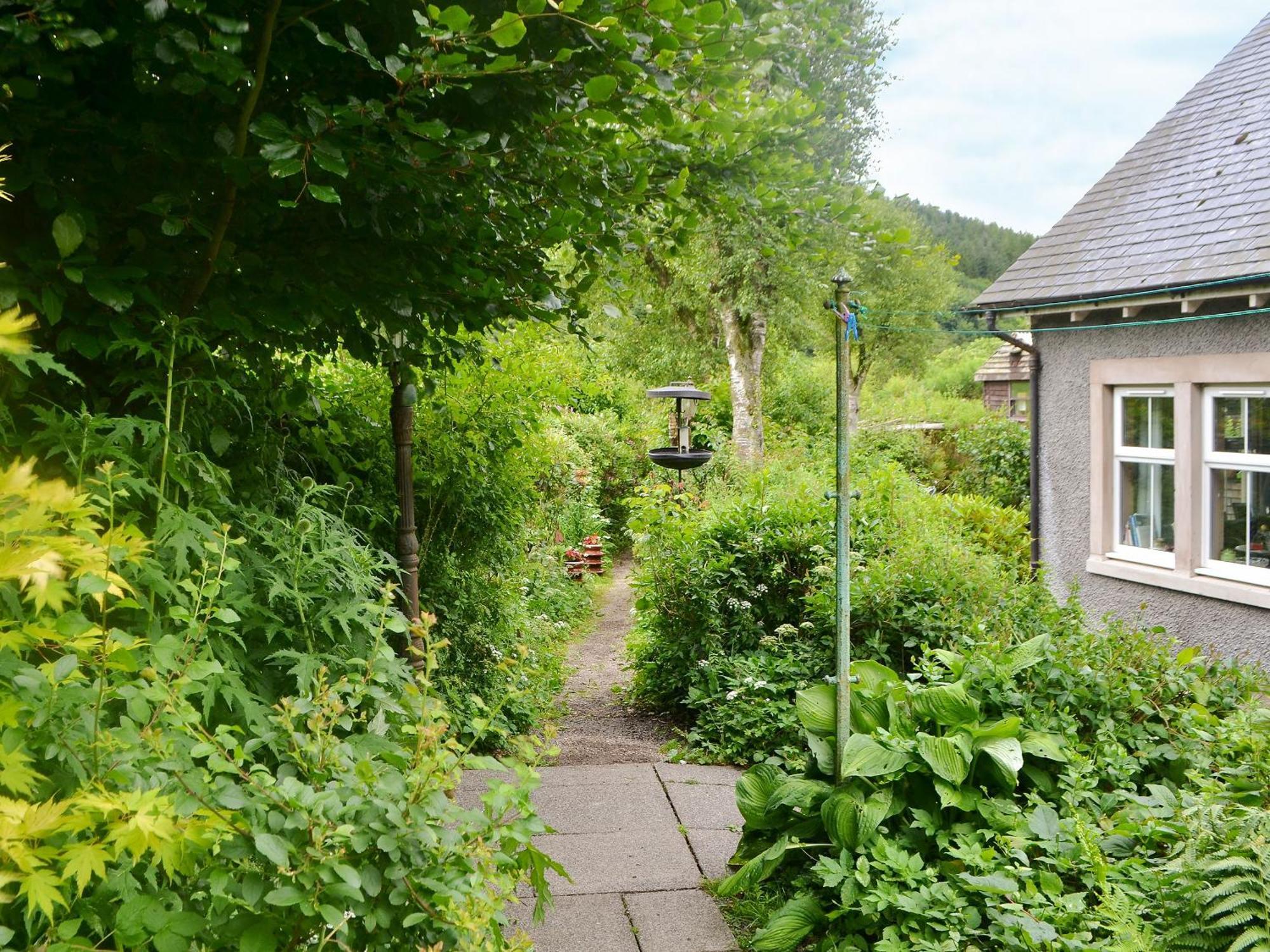 The Cottage Blackwood  المظهر الخارجي الصورة